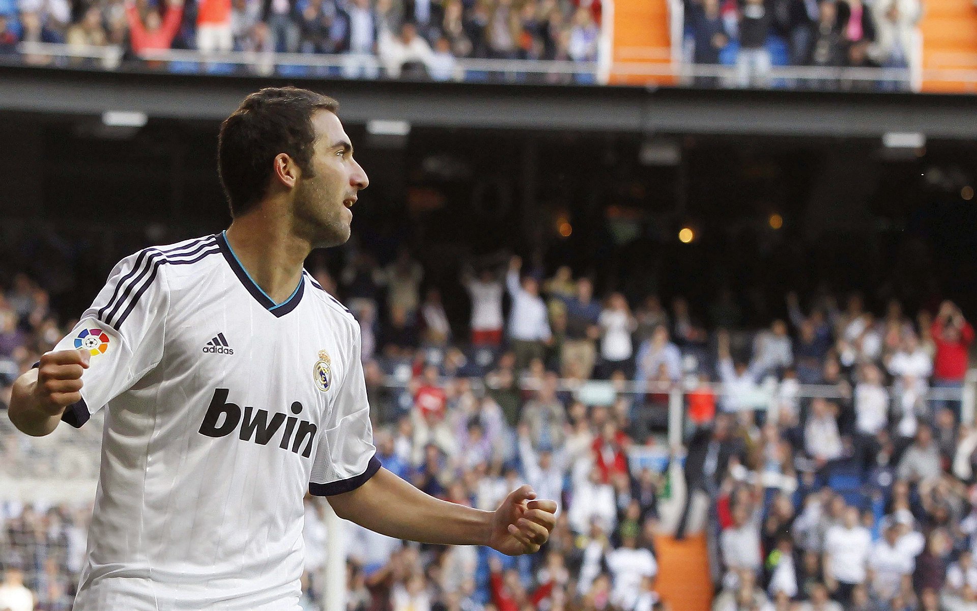 开云体育app-澳大利亚队展现强大实力摘得冠军，澳大利亚队厉害吗